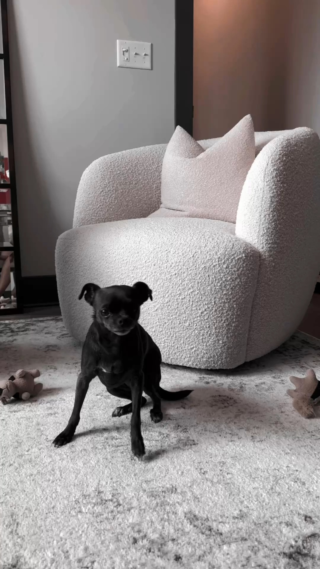 Apartment therapy: GOOP Swivel Chairs for Home Office 

Visit lindseyandcoco.com for more info on The Ripple Pet Home. 

Scroll to shop. 

#LTKPet

#LTKHome #LTKdayinmylife