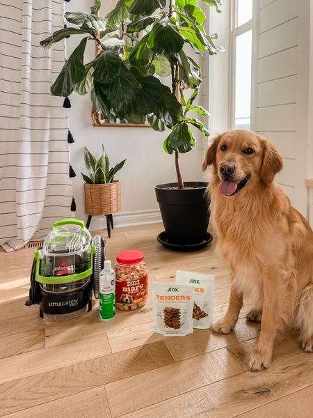 Linking up some of our pet favorites from @walmart for National Pet Month!! This little green pro is so handy for cleaning up accidents and it’s on sale right now. #nationalpetmonth  #walmartpartner
