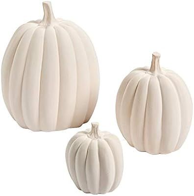 Fun Express DIY Decorative White Pumpkins - 3 Different Sizes - Ceramic - Halloween Home Decor an... | Amazon (US)