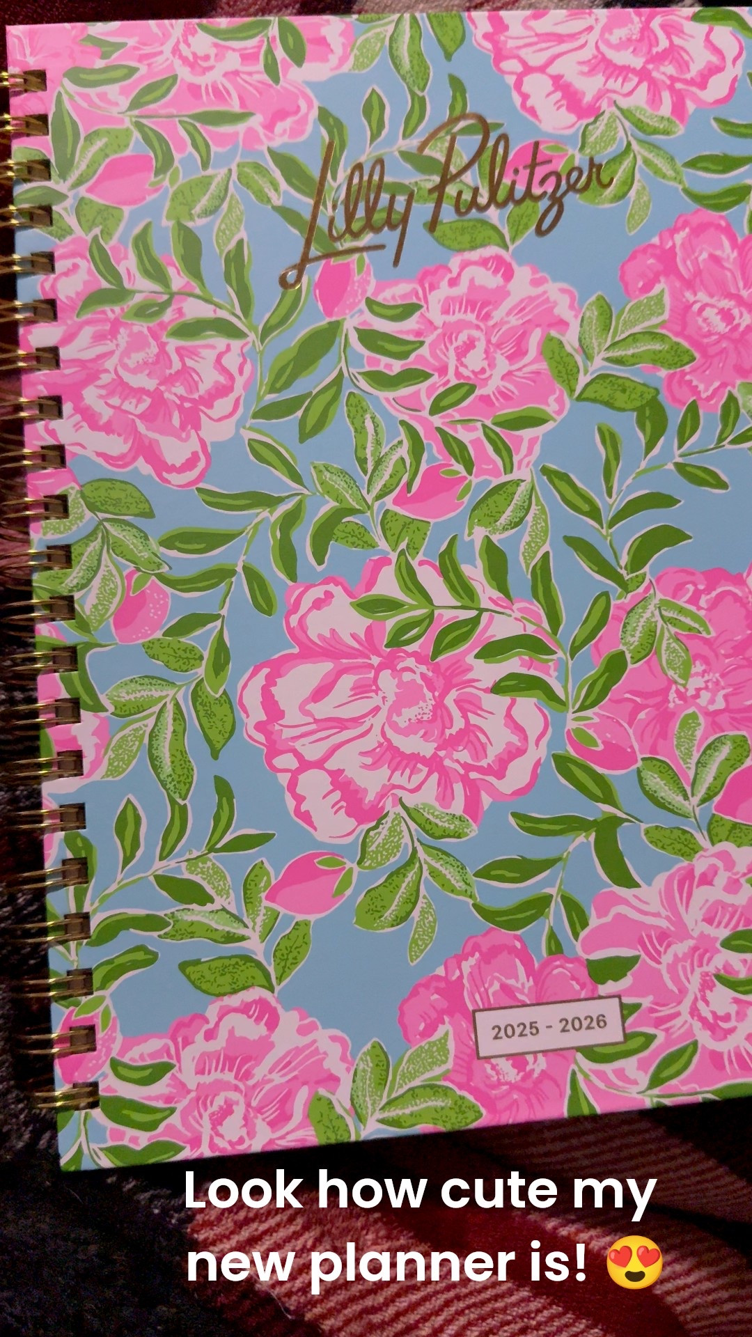 Omg look how cute my new planner is!!  #planner #organization #schedule #homeoffice #onthego #calendar 

#LTKWorkwear #LTKFindsUnder50 #LTKActive