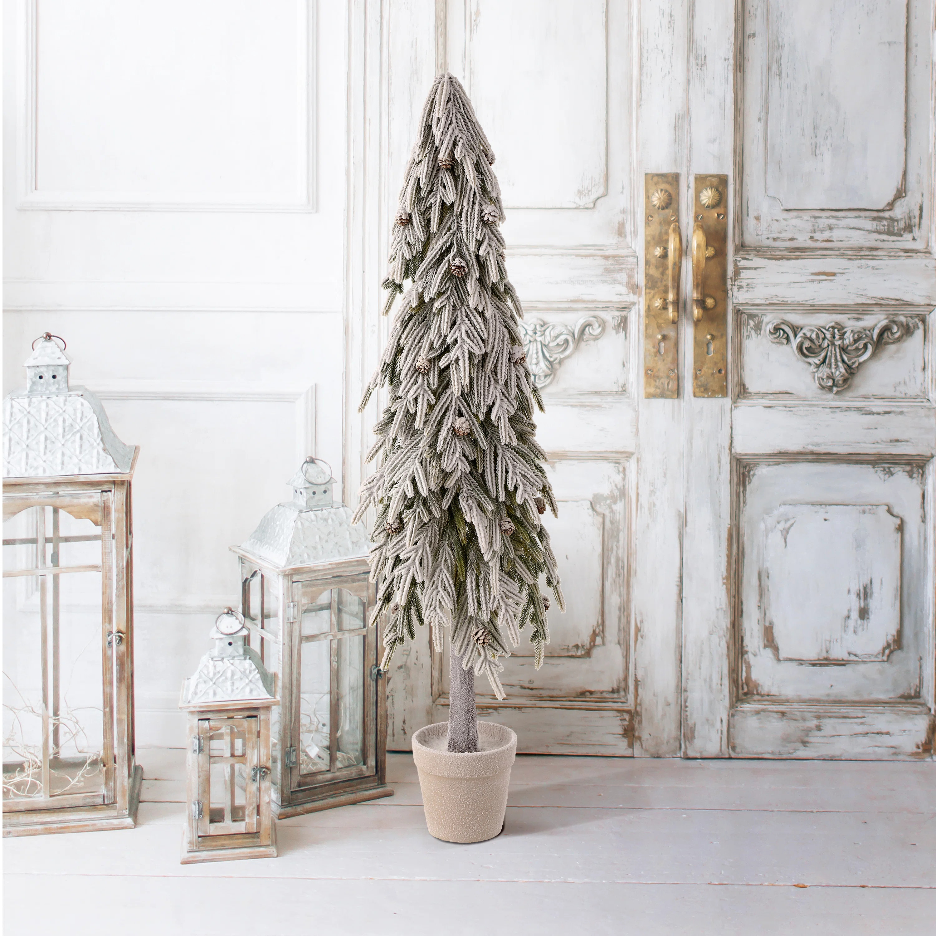 Potted Soft Touch Snow Norfolk Pine Tree | Wayfair North America