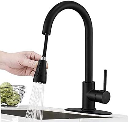 Hoimpro Commercial High-Arc Single Handle Kitchen Sink Faucet With Pull Out Sprayer,Rv kitchen Fa... | Amazon (US)