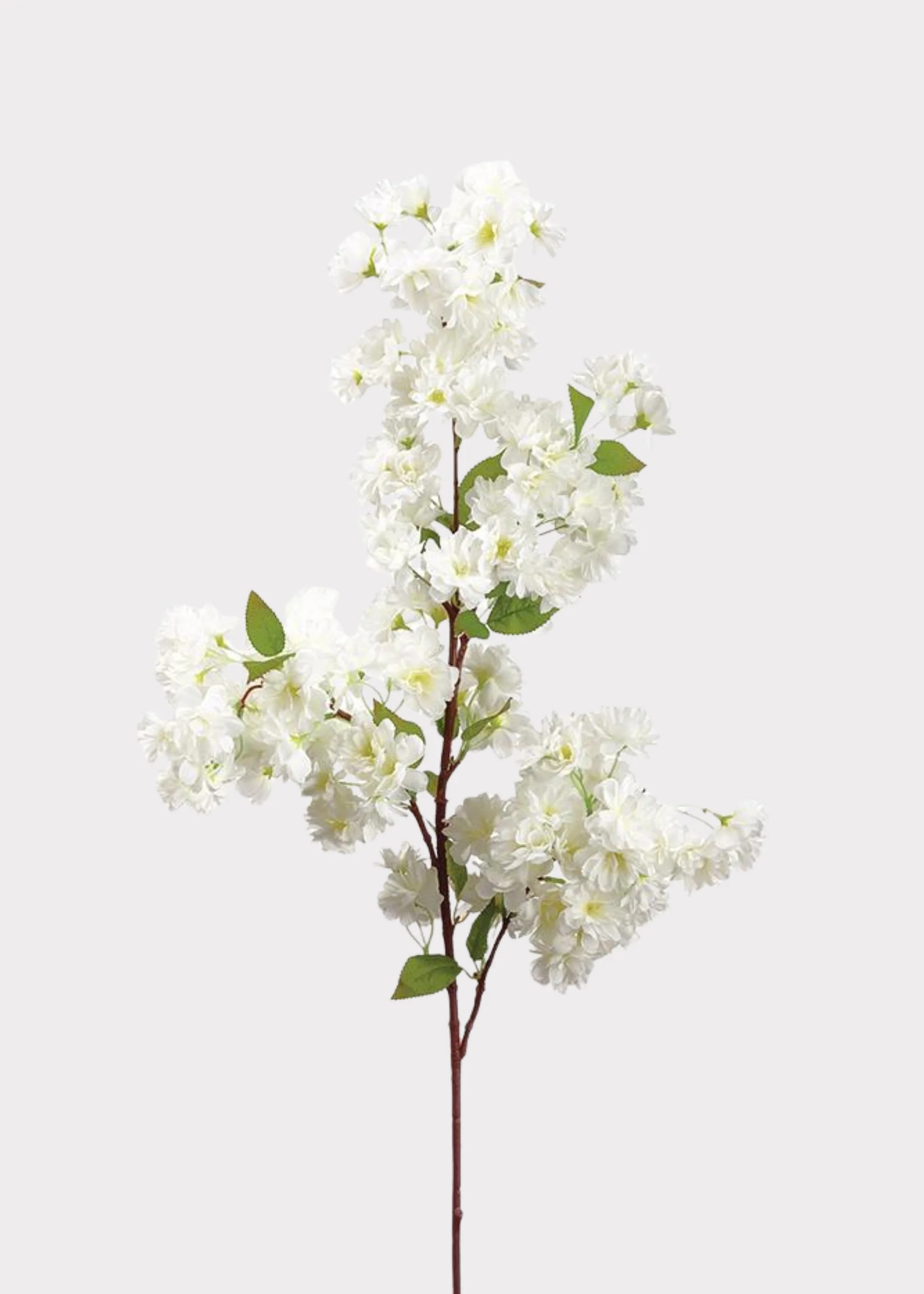 Cream White Cherry Blossom Branch | Fake Spring Flowers | Afloral | Afloral