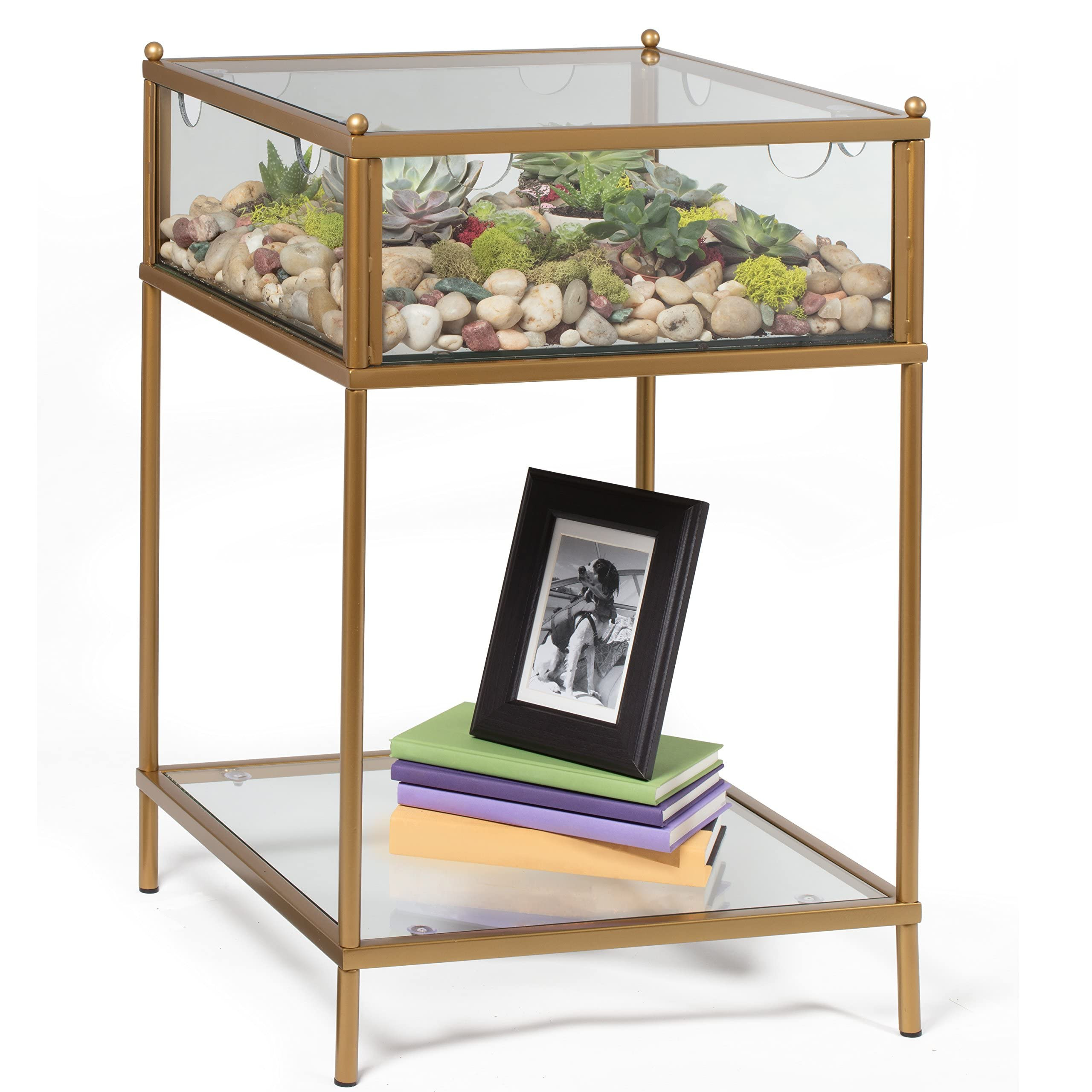 D'Eco Square Terrarium Display End Table w/Reinforced Glass in Gold Iron - (Dims: 18 x 18 x 27) -... | Amazon (US)