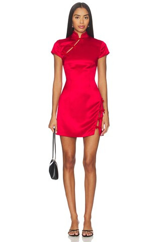 Fine Lace Mini Dress in Red | Revolve Clothing (Global)