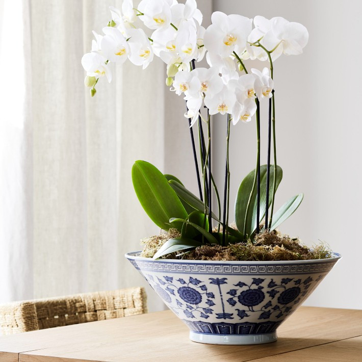 Ginger Jar Bowl, Blue and White | Williams-Sonoma