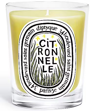 Diptyque Limited Edition Citronnelle Lemongrass Classic Candle - 6.5 oz. | Dillard's