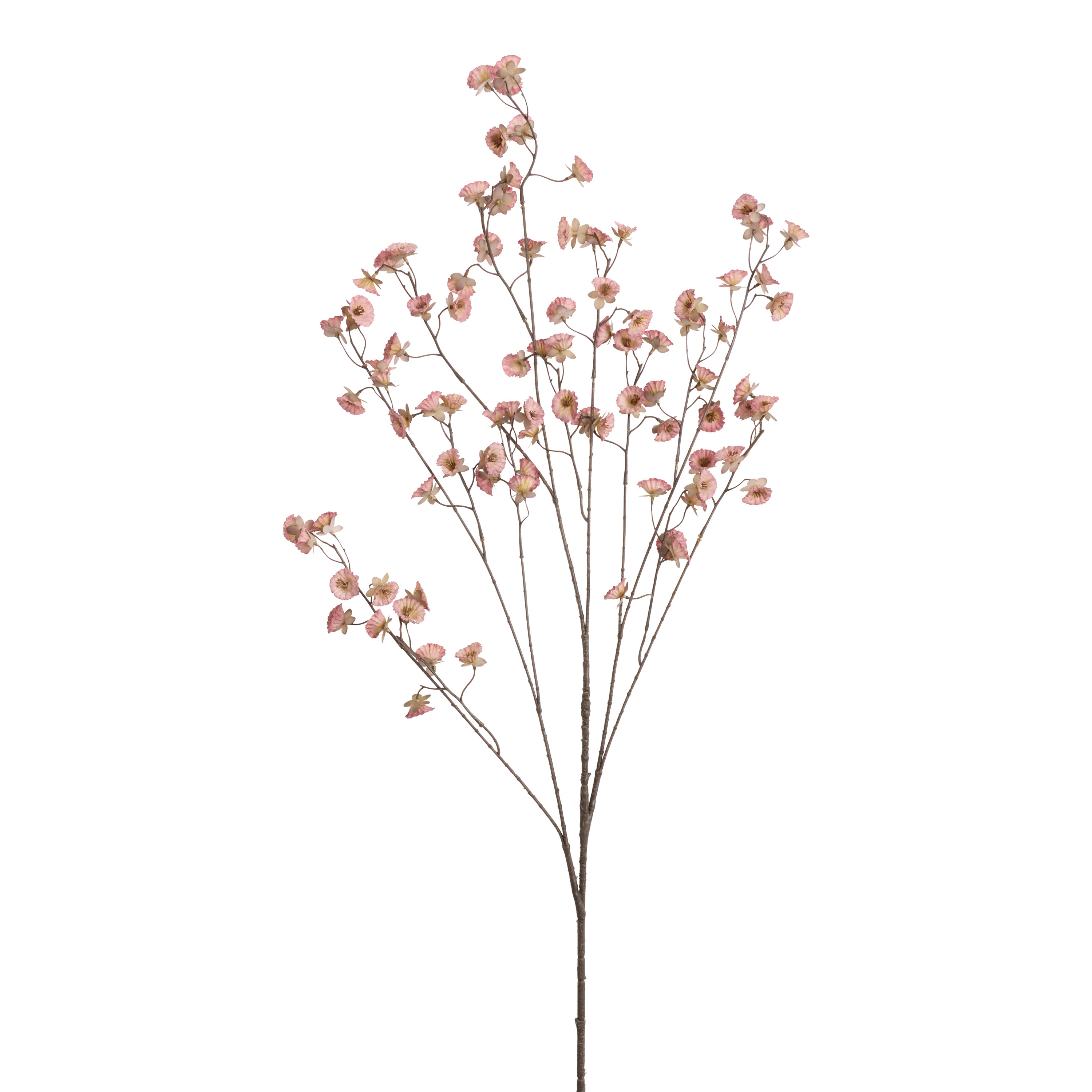 Faux Mini Accordion Daisy Stem | World Market