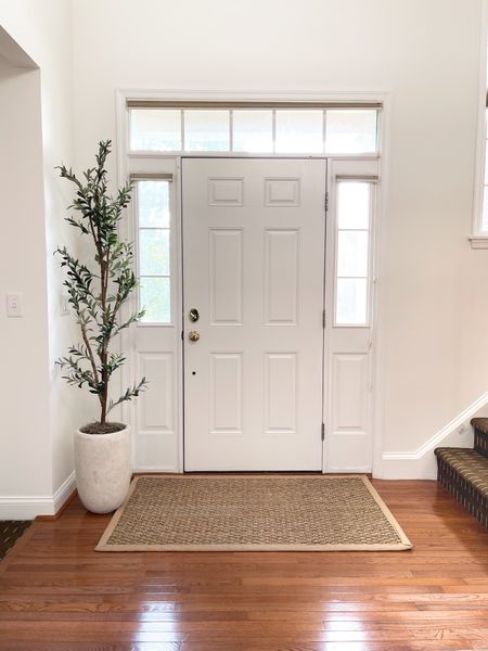 My entryway olive tree is one of my favorite Amazon purchases! I have the 82” tree and my rug is 3x5.

Home decor, Amazon home, olive tree, artificial tree, beige rug, neutral home decor, entryway decor, foyer decor, prime day

#LTKunder100 #LTKsalealert #LTKhome