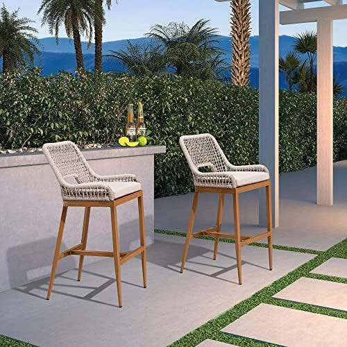 Amazon.com: PURPLE LEAF Outdoor Bar Stool Chair Set of 2 Counter Height Modern Bar Stool Chairs P... | Amazon (US)