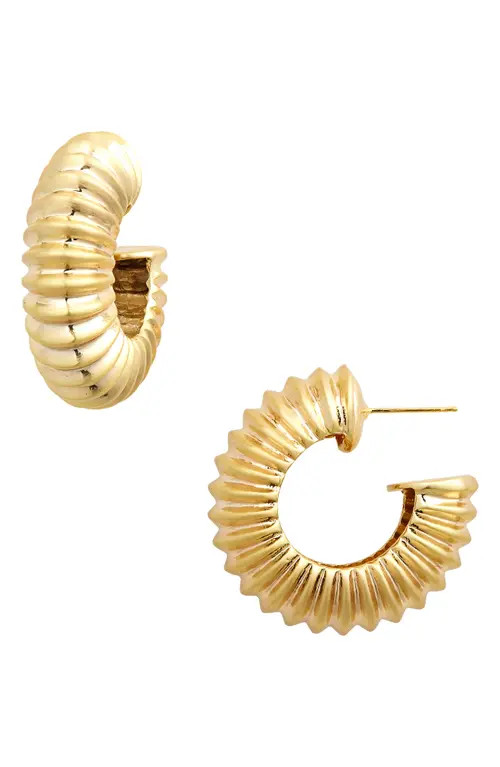 Cult Gaia Stella Ribbed Hoop Earrings in Gold at Nordstrom | Nordstrom
