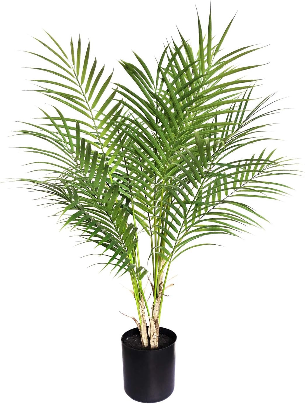 BESAMENATURE 30" Little Artificial Paradise Palm Tree Plant, Fake Tropical Palm Tree for Home Off... | Amazon (US)