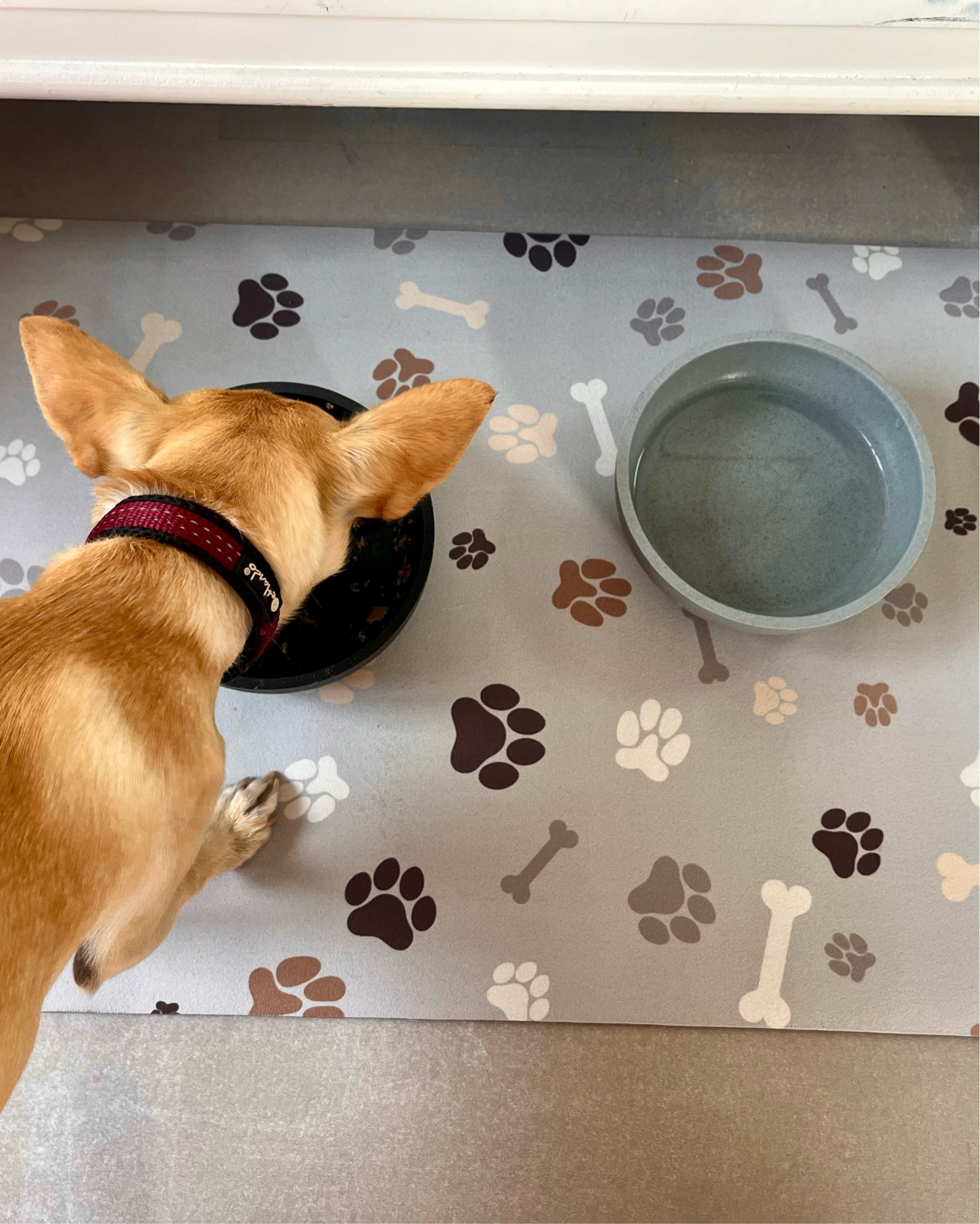 If you have a dog, this is one of those simple little home finds that just makes life easier 🐾

This easy-clean feeding mat has been so helpful in our cottage while renovating — especially with messy paws, water bowls, and everyday dog life. Functional, simple, and still neutral enough to blend into our home 🤍



Linked a similar one here ✨

#LTKdayinmylife #LTKHome