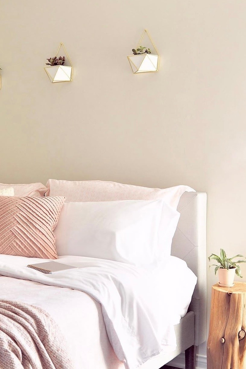 Perfectly cozy 🤍✨☁️💕🪴
#bedroom #plants #pink 

#LTKHome #LTKFamily #LTKFindsUnder50