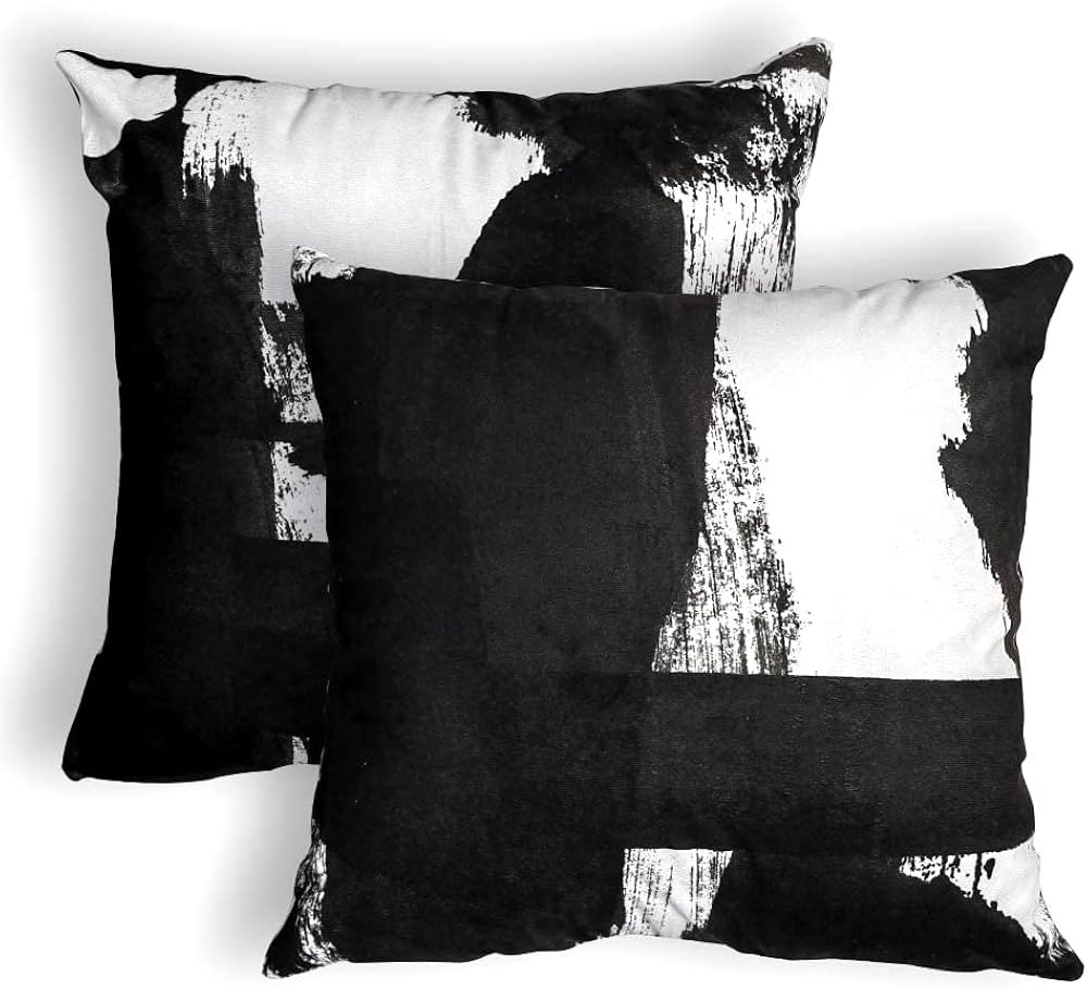 vineland Abstract Farmhouse Cushion Throw Pillow Covers Set Decorative Black and White Pillow Cov... | Amazon (US)
