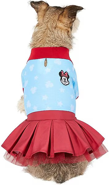 Disney Minnie Mouse Americana Dog & Cat Polo Dress | Chewy.com