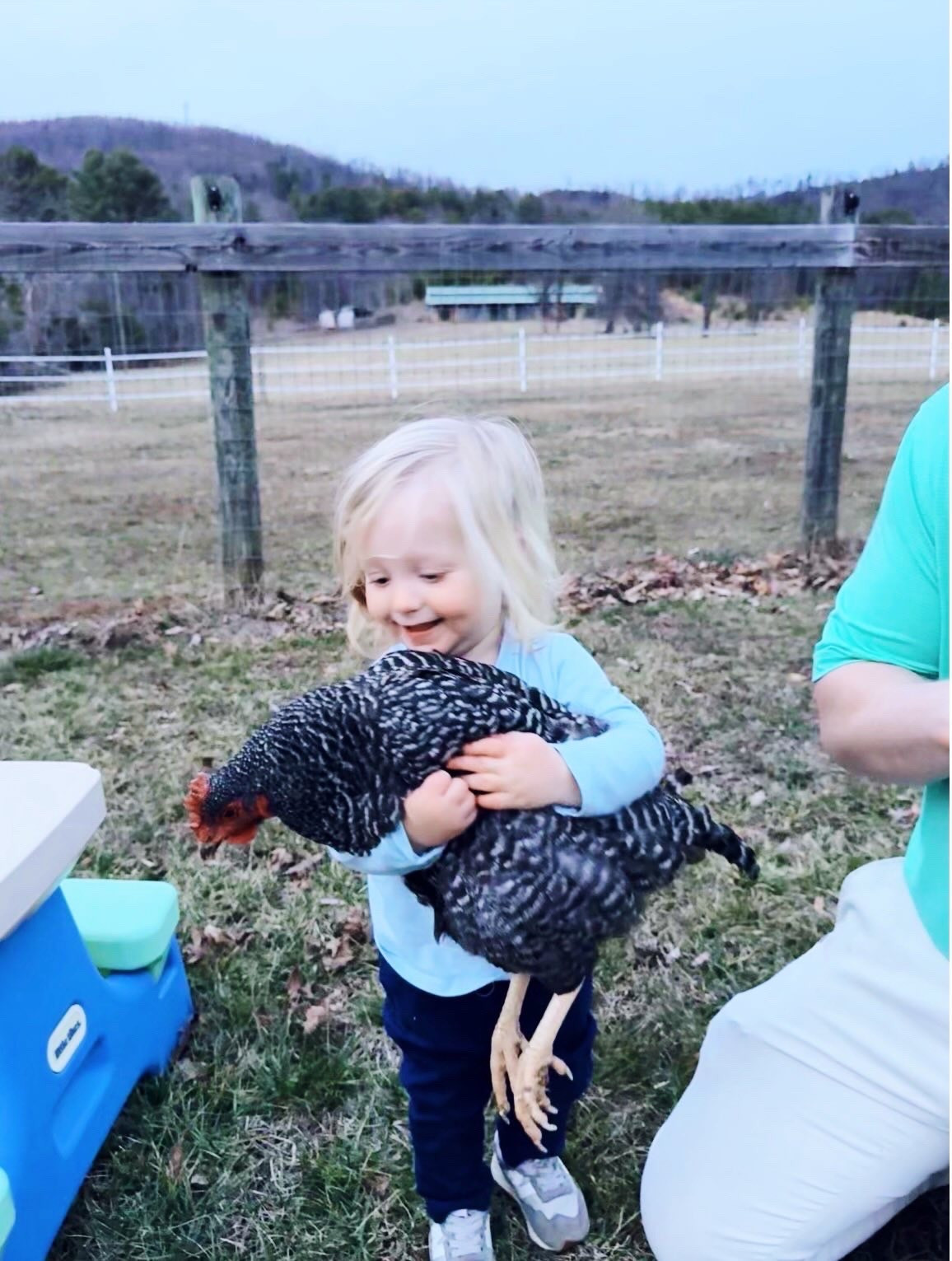 Goodness gracious we couldn’t love this sweet precious chicken-loving 🐓, happy-go-lucky 🥰, wildflower 🪻picking “for mama” 🌼 country baby boy more if we tried!! 🤭 Oh Sweet Baby Levi Rhett, you sure do have us all wrapped around your finger!! 🤱 We are just so grateful for the twenty-one most joyful months with you here in our family and such a gift now getting to raise you and your big brother Judson out on our dream farm sweet farm! 🚜🌾 Every good and perfect gift is from above, and you sure are one of them!!! ☀️ You are the sweetest, giggliest, cuddliest, and silly little country baby boy 🌳 and we couldn’t be more smitten with you! 🤠 Happy 21 months, my angel baby boy!! 👶🏼🩵 // new blog post up on the @emilymabrycreative blog

It truly has been such a dream 💭 come *true* getting to finally move our family out to the farm sweet farm 🐴🫏🪵 we’ve been dreaming of and praying for for as long as I can remember 🙏🏽… and such a gift beyond words getting to make so many memories out here on the land where we are planting our family roots!! 🌱 Immeasurably more than we could’ve asked, dreamed, or imagined 🙌🏽 … and a story only God could write!! ✍🏼 We even had our very first SNOW ❄️ on the farm (exactly one month after we moved here) and it made for the most special memories!! ☃️🌨️ We have been spending our days exploring the farm, playing with our chickens, hanging out with sweet friends, and just soaking this sweet season of life up!! 🧺🛝🌲 #sweetestseasonyet 

You are saying SO many words these days 🥰 (it’s so stinking cute y’all!), playing with your brother all the time (you are obsessed with each other and truly inseparable - #brotherbesties for life!) 👶🏼💙👶🏼, still love to be worn in mama’s baby carrier 🤱 when you’re sleepy 😴 and want to just snuggle 🥰, LOVE to read books (“Boooooook”) 📖, are into everything and always exploring these days 🪑, love your puppy dog Red 🐶 and “chick chicks” 🐓 more than anything, and always (!!) want to be outside (just like your bubba)!! I love this stage so much and can’t get enough of your adorable little self! 🤭🚜 