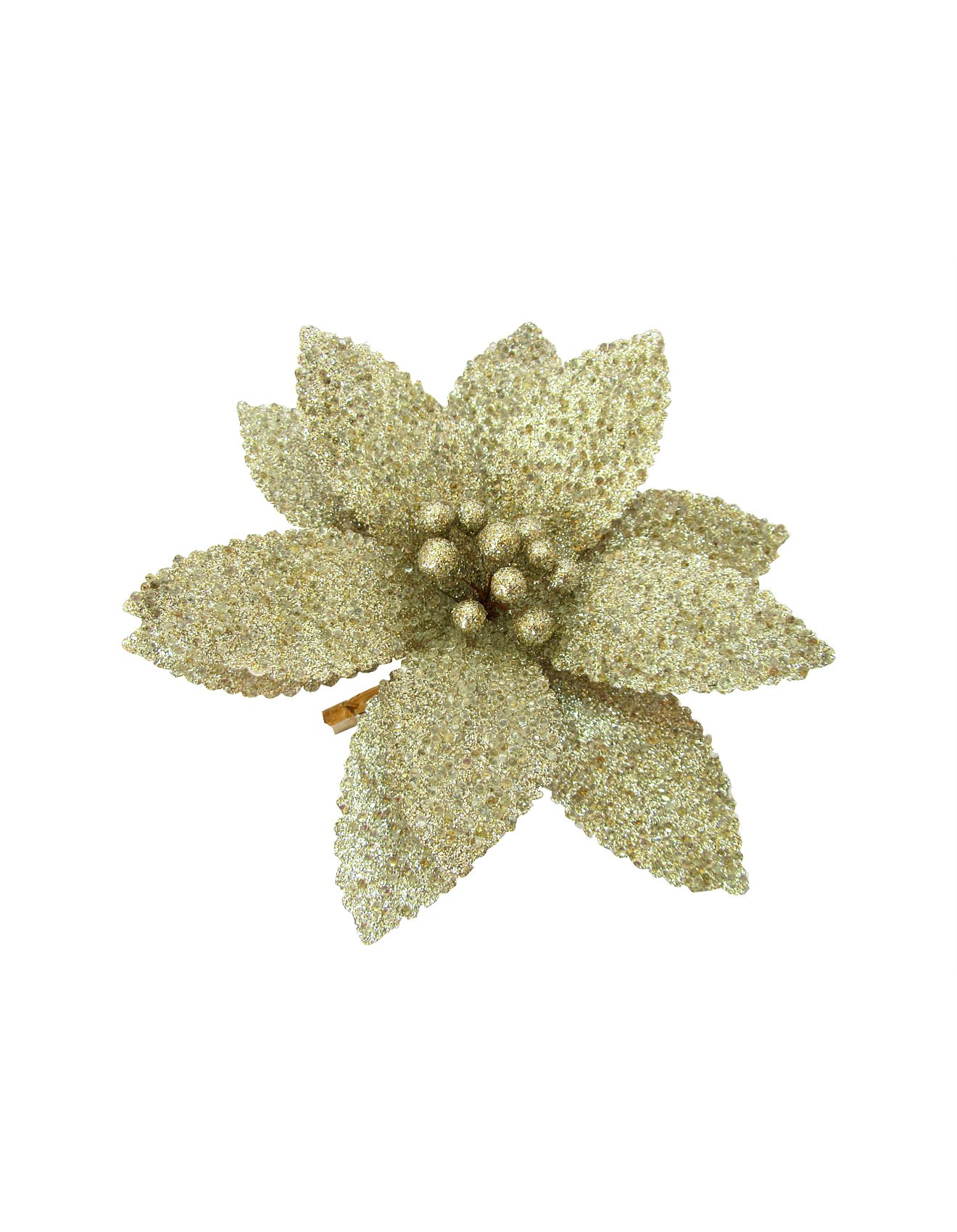 20CM CHAMPAGNE GLITTER POINSETTIA CLIP ORNAMENT | David Jones (Australia & New Zealand)