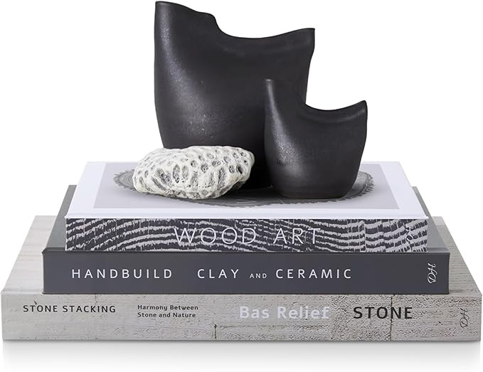 Decorative Books for Home Decor, Set of 3 Sizes Faux Books, Book Decor for Living Room, Office, B... | Amazon (US)