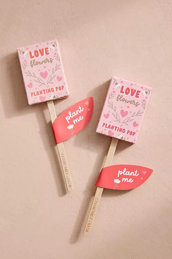 Valentine Seed Planting Pops, Set of 2 | Anthropologie (US)
