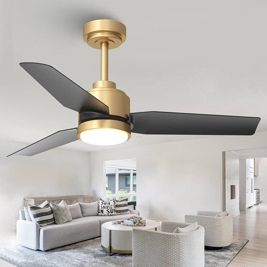 42 Inch Black Ceiling Fans with Lights and Remote/APP, Modern Ceiling Fan for Living Room Outdoor... | Amazon (US)