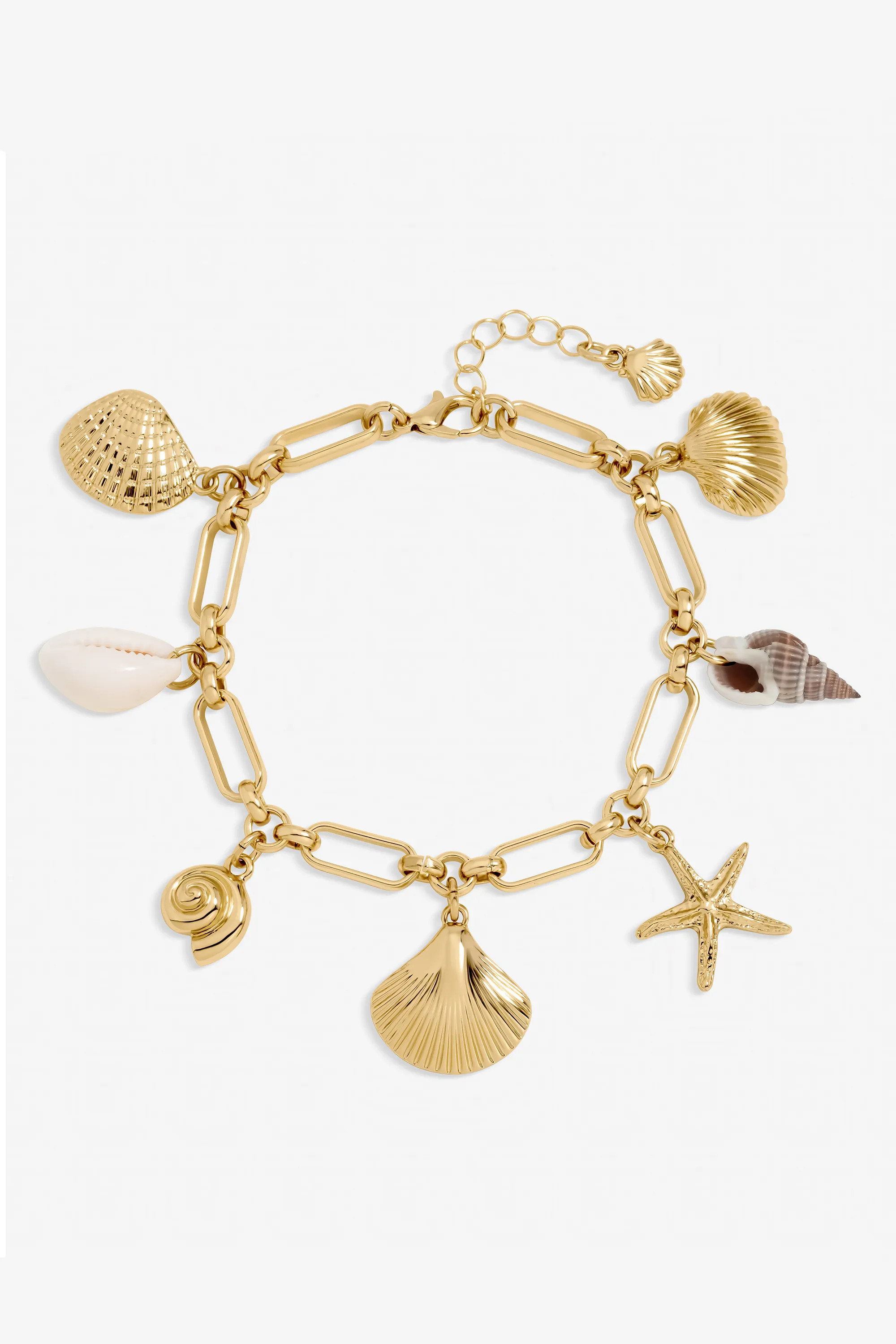 Gold Inicio Plated Real Shell Charm Bracelet - Gift Pouch | Debenhams | Debenhams UK