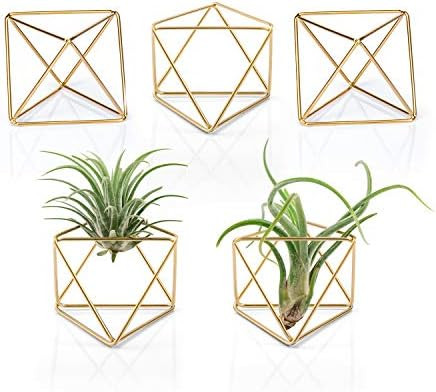 Mkono 5 Packs Air Plant Holder, Same Shape Mini Metal Tabletop Himmeli Decor Modern Geometric Pla... | Amazon (US)