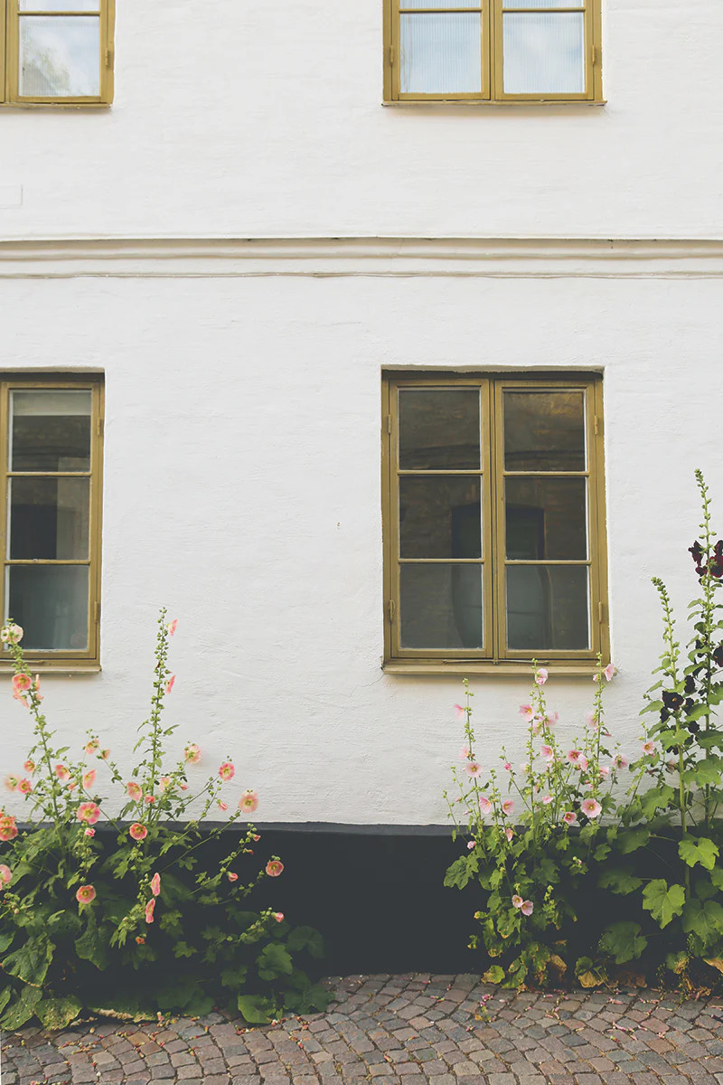 Hollyhocks | Juniper Print Shop