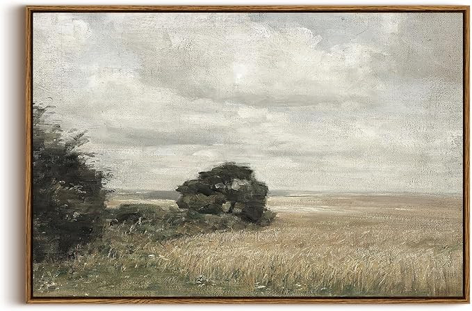 InSimSea Framed Canvas Wall Art Vintage Decor, Vast Field Cloudy Sky Vintage Wall Decor, Large La... | Amazon (US)