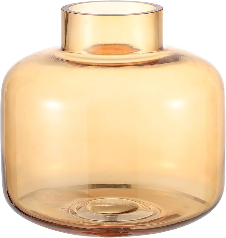 Short Glass Vase, Amber Glass Vase, Short Flower Vase, Round Glass Vase, Small Glass Vase for Flo... | Amazon (US)