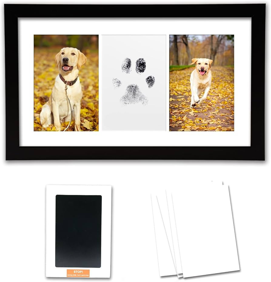 Paw Print Frame Kit-Dog Paw Print Kit-Paw Print Picture Frame-Pet Memorial Gifts for Dogs-No Mess... | Amazon (US)