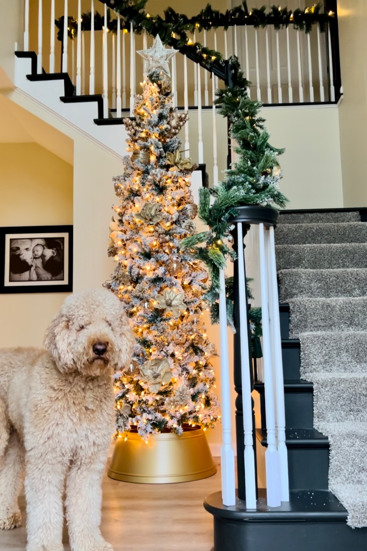 Entryway Christmas decor 🎄🌲

#LTKHoliday #LTKunder100 #LTKSeasonal