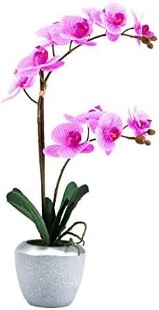 Mikasa Artificial Real Touch Phalaenopsis Orchid Flower in Pot, Faux Floral Décor for Wedding, Home, | Amazon (US)