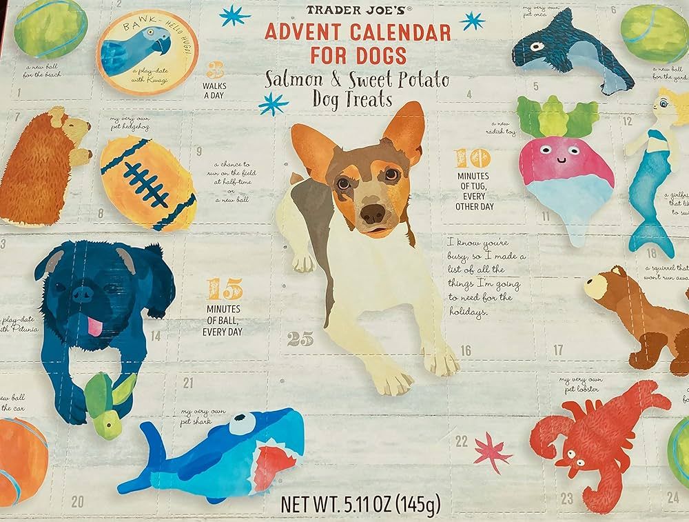 Advent Calendar for Dogs - 24 Days of Salmon & Sweet Potato Dog Treats | Amazon (US)