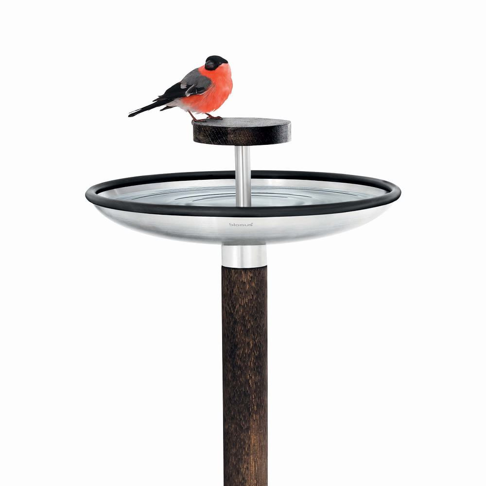 Bird Feeder &amp; Bath | West Elm (US)