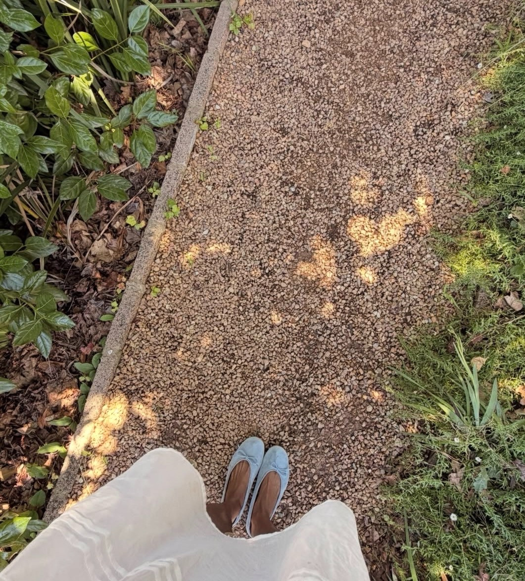 Lord knows I love a ballet flat 

ballet flats l shoes  

 