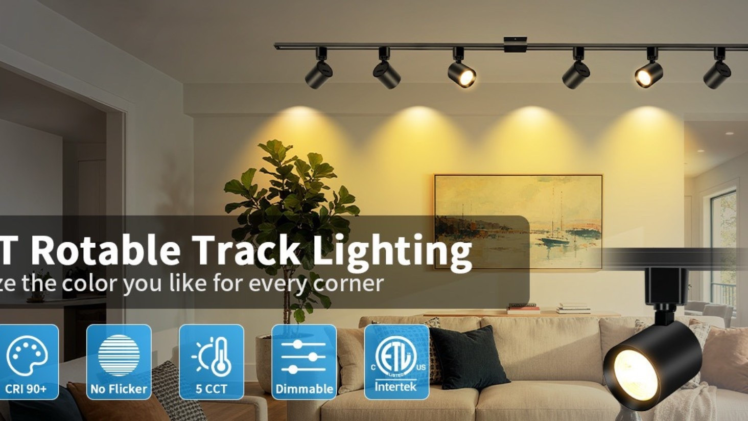 Amazon / track lighting/ ceiling fan/ electric c plug wall 