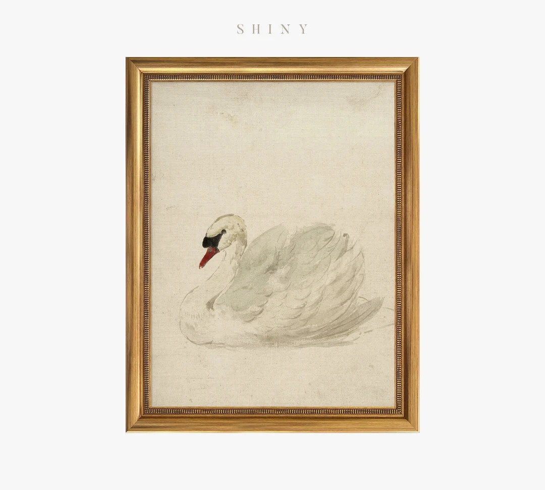 Framed Vintage Print White Swan Art Vintage Art Framed - Etsy | Etsy (US)