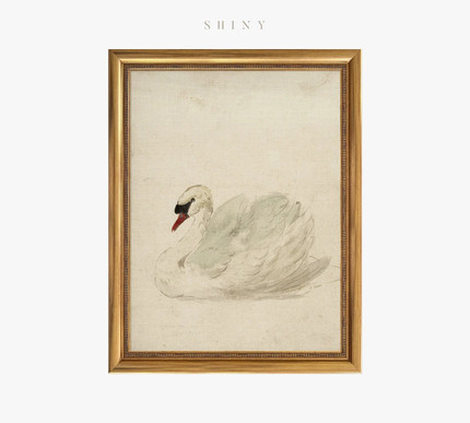 Framed Vintage Print White Swan Art Vintage Art Framed - Etsy