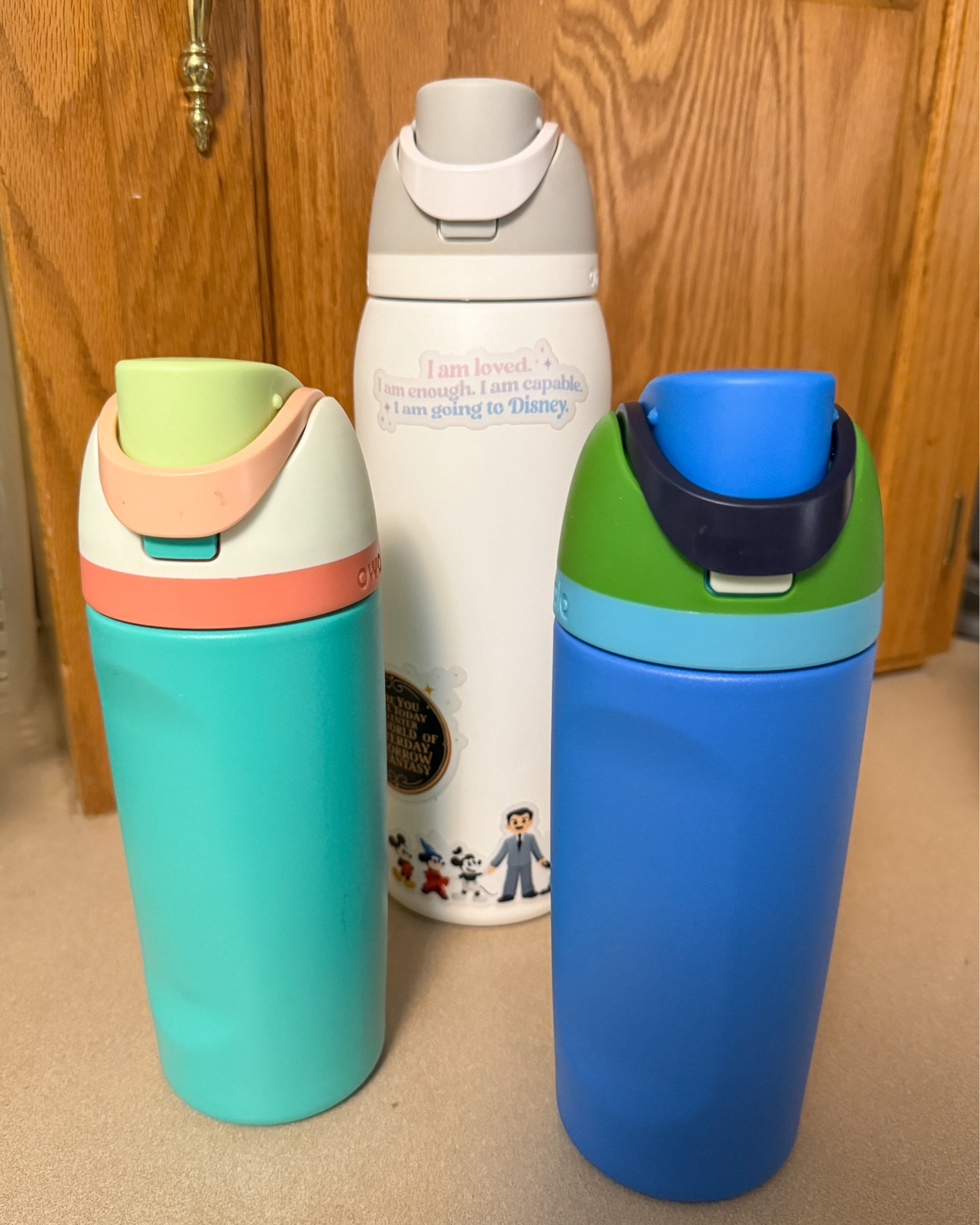 I love my owala water bottle 

White one is 40oz and is my everyday water bottle 
The 2 small ones are 16 ounces and I got them to take to Disney world 

#LTKKids #LTKBacktoSchool #LTKFamily