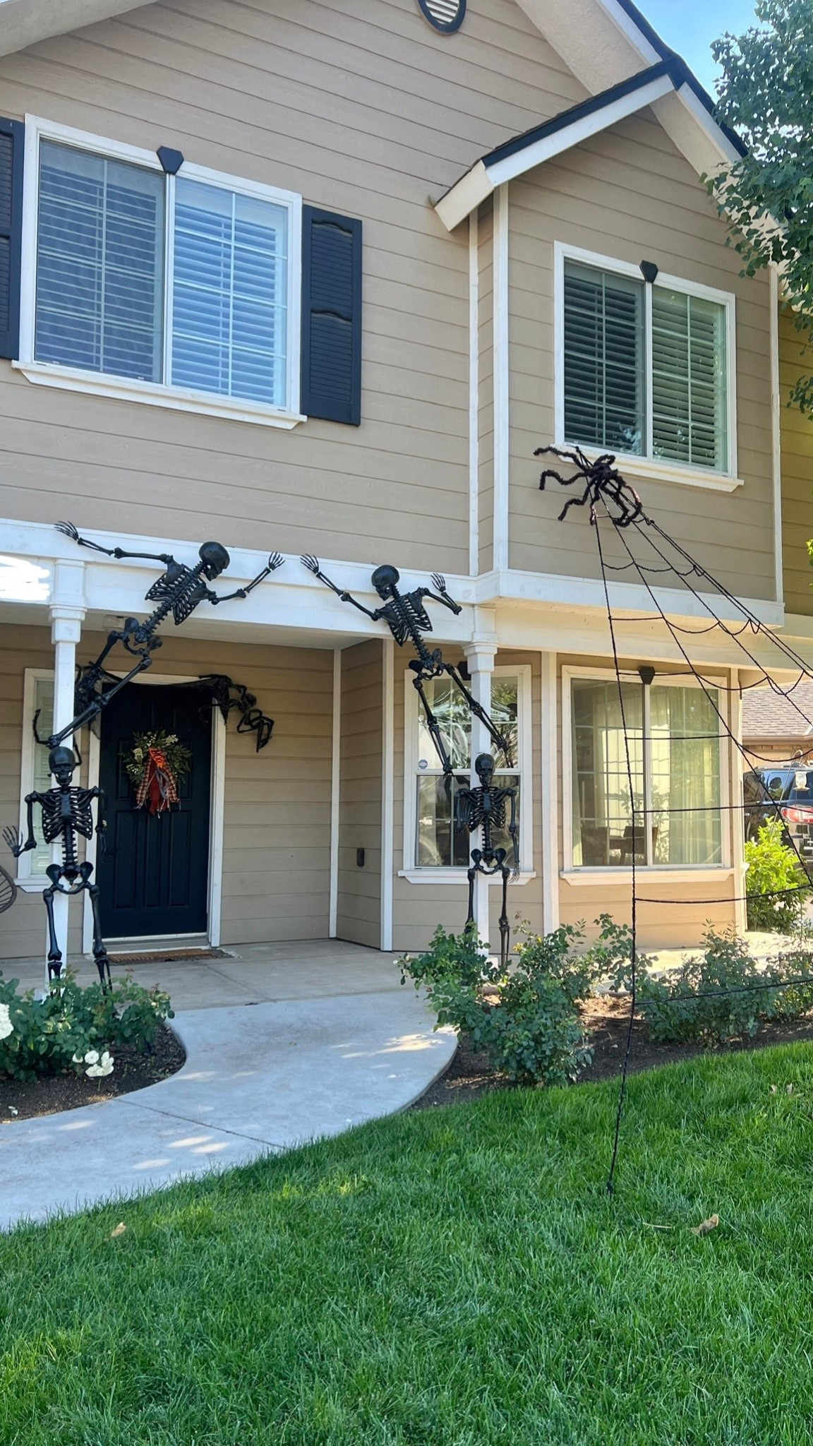 THIS IS HALLOWEEN 💀

#LTKFindsUnder50 #LTKSeasonal #LTKHome