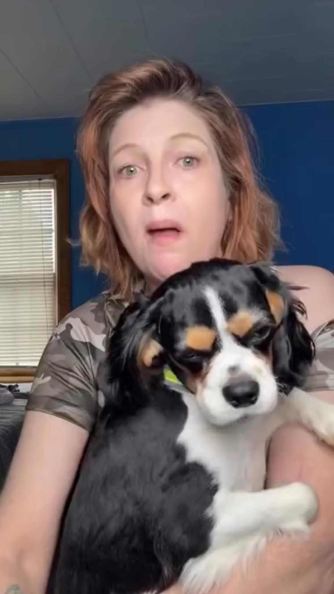 #giftedby @nativepet 

Gutwell Clean Breath: Treat the cause of your pup’s dragon breath.  Gutwell uses natural ingredients to work within your dog.

Key Ingredients: pumpkin, flaxseed, & pork plasma

It’s working for Drake and it can work for your baby!

*pr gifted, but thoughts and feelings are all my own*

#gutwell #fightingmothernature #nativepet #guthealthfordogs #stinkydogbreath #fypages

#LTKFamily #LTKFindsUnder50 #LTKPets