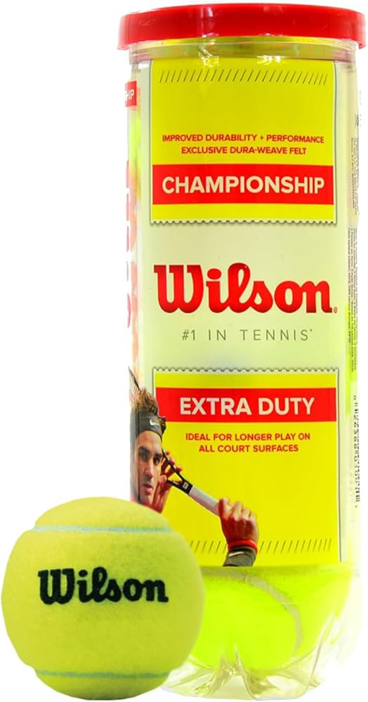 WILSON Championship Tennis Balls | Amazon (US)