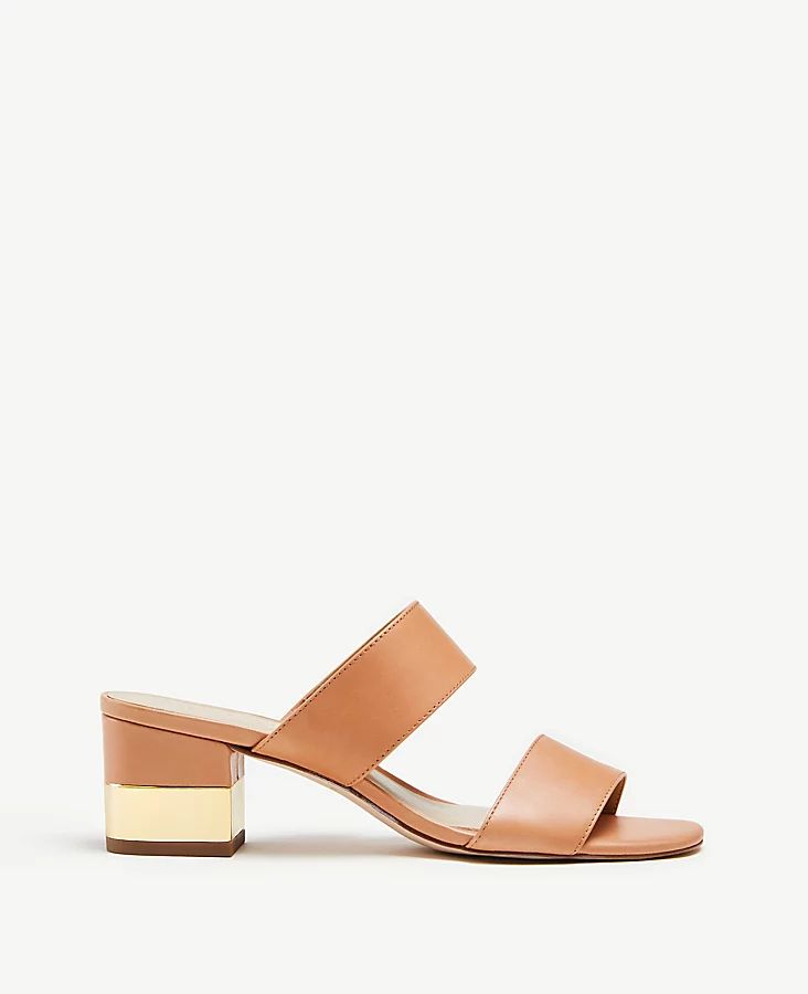 Liv Leather Block Heel Sandals | Ann Taylor (US)