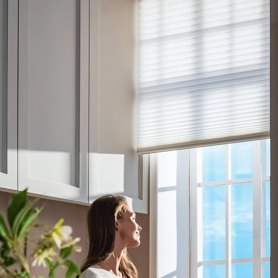 SmartWings Motorized Cellular Honeycomb Cordless Shade Nowa, Work with Matter HomeKit Alexa Z-Wav... | Amazon (US)