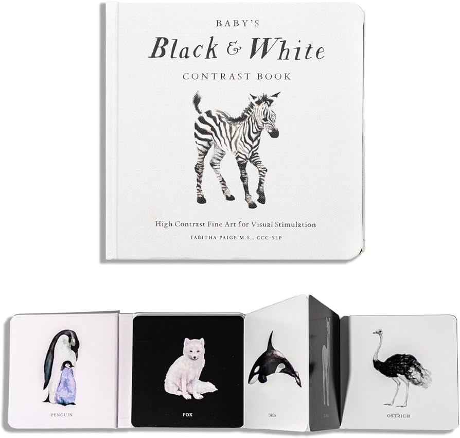Baby's Black and White Contrast Book: High-Contrast Art for Visual Stimulation at Tummy Time (Tab... | Amazon (US)