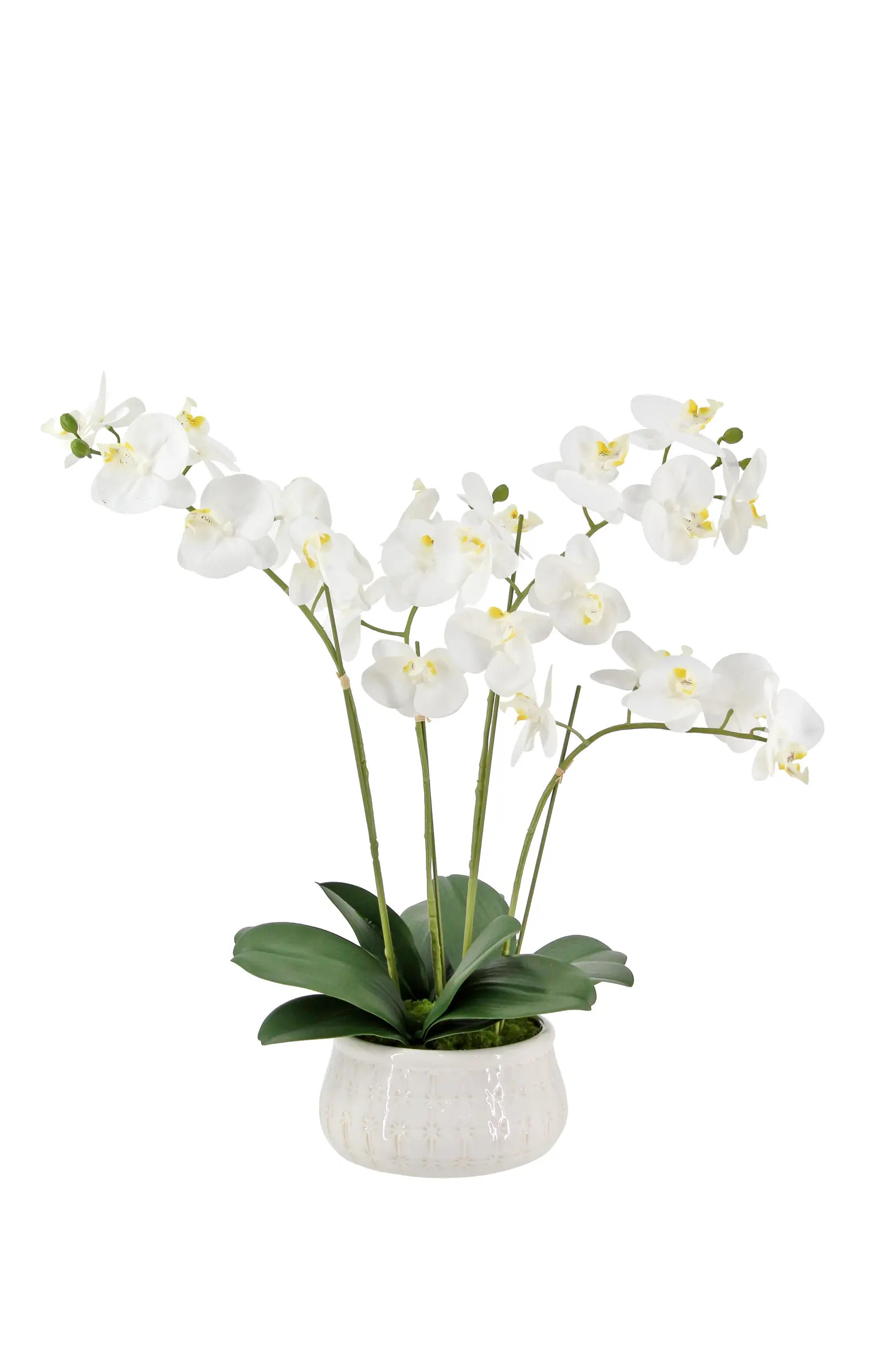 Artificial 4-Stem Phalaenopsis White Orchid | Nordstrom