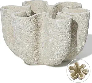 Nico Curvy Decorative Bowl Fluted Vase Scallop Home Decor for Living Room Coffee Table Styling Bo... | Amazon (US)