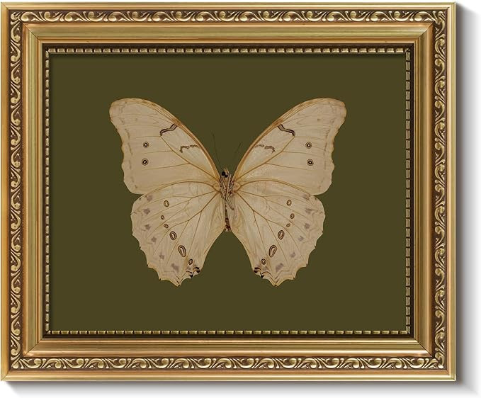 ARPEOTCY Vintage Gold Framed Wall Art, Classical White Butterfly Paintings, 8x10 inch Small Moody... | Amazon (US)