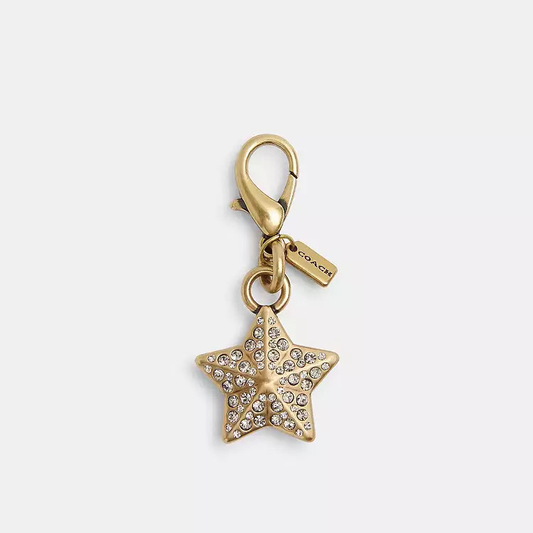 DIY Crystal Star Charm | Coach (US)